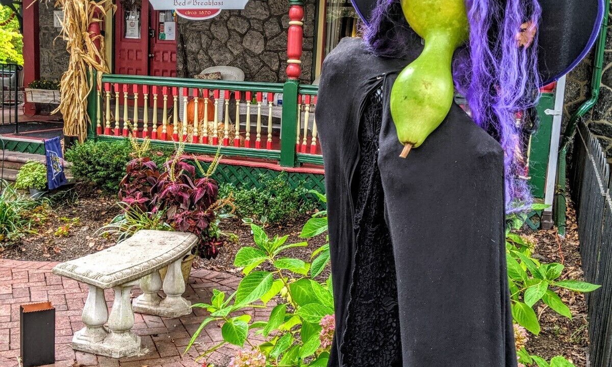 Photo of Outdoor in Powelton Village