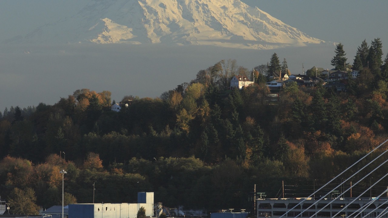 Photo of Bedroom in New Tacoma