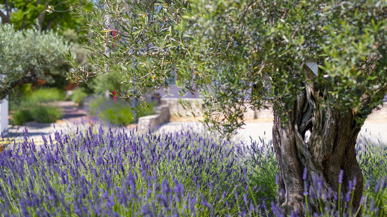 Photo of Outdoor in Saint Tronquet Business Park