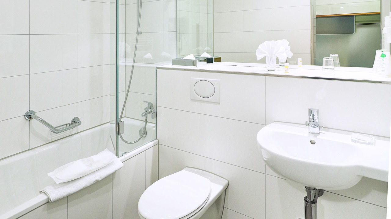 Photo of Bathroom in Dietikon District