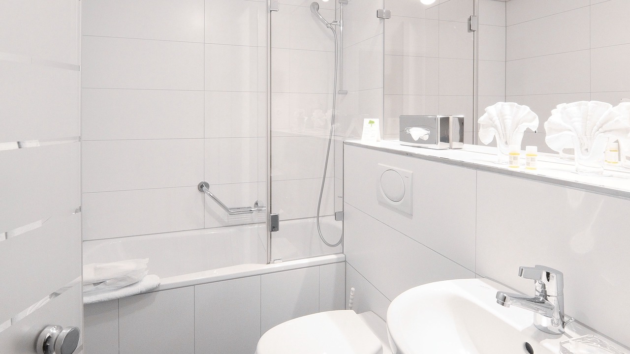 Photo of Bathroom in Dietikon District