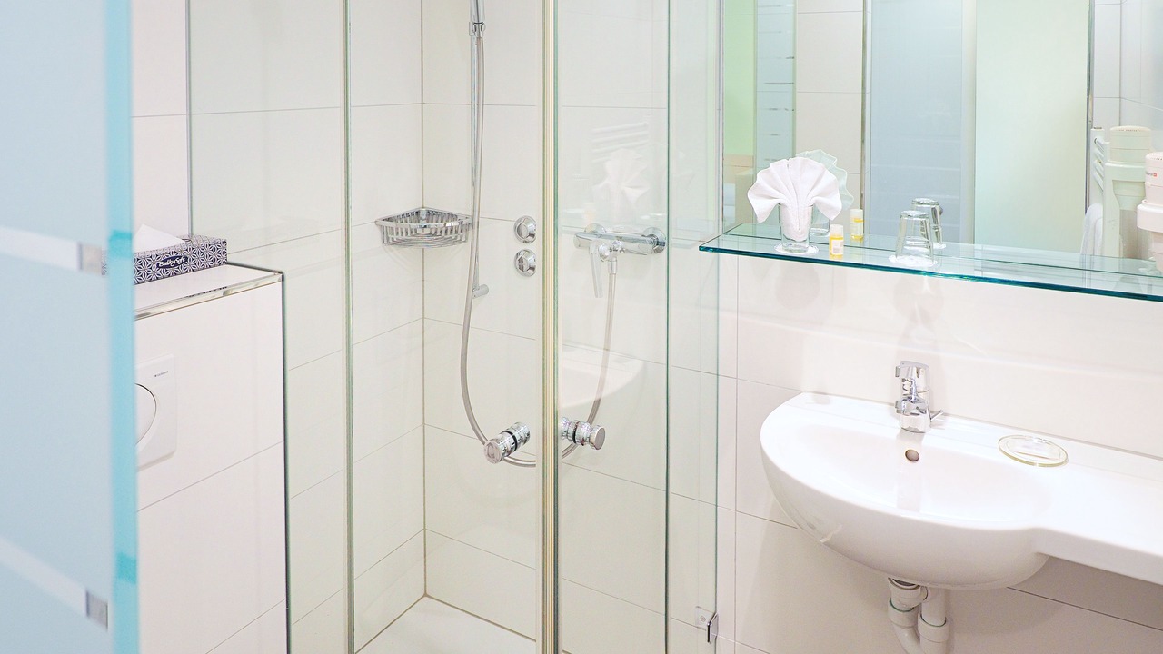 Photo of Bathroom in Dietikon District