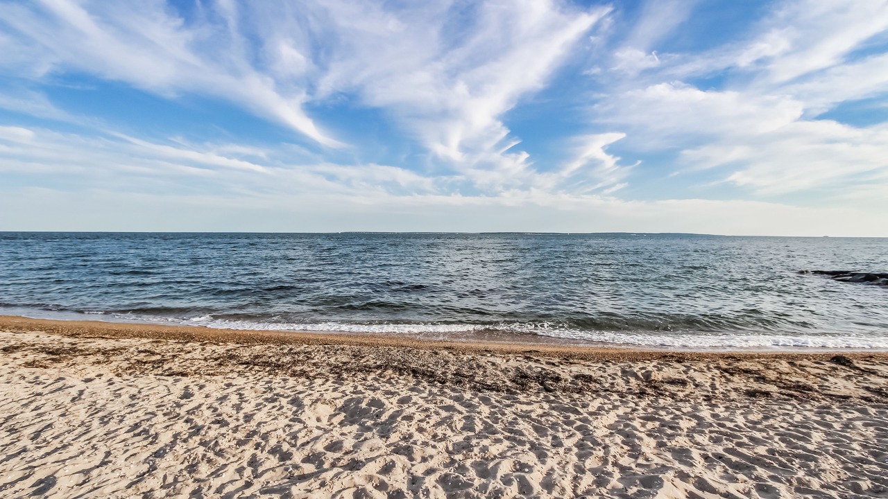 Photo of Others in Mara Vista