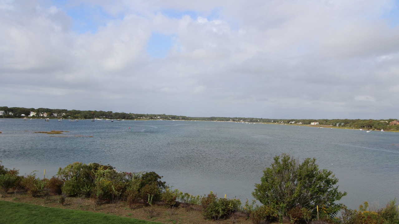 Photo of Outdoor in Mara Vista