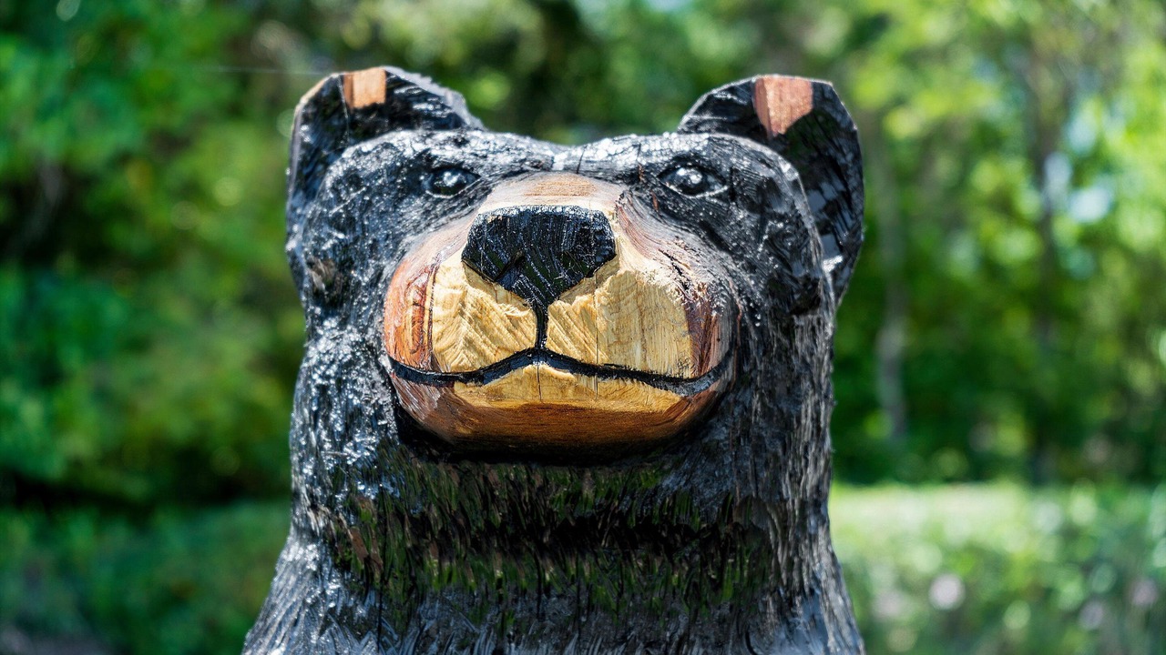 Photo of Outdoor in Sonoma