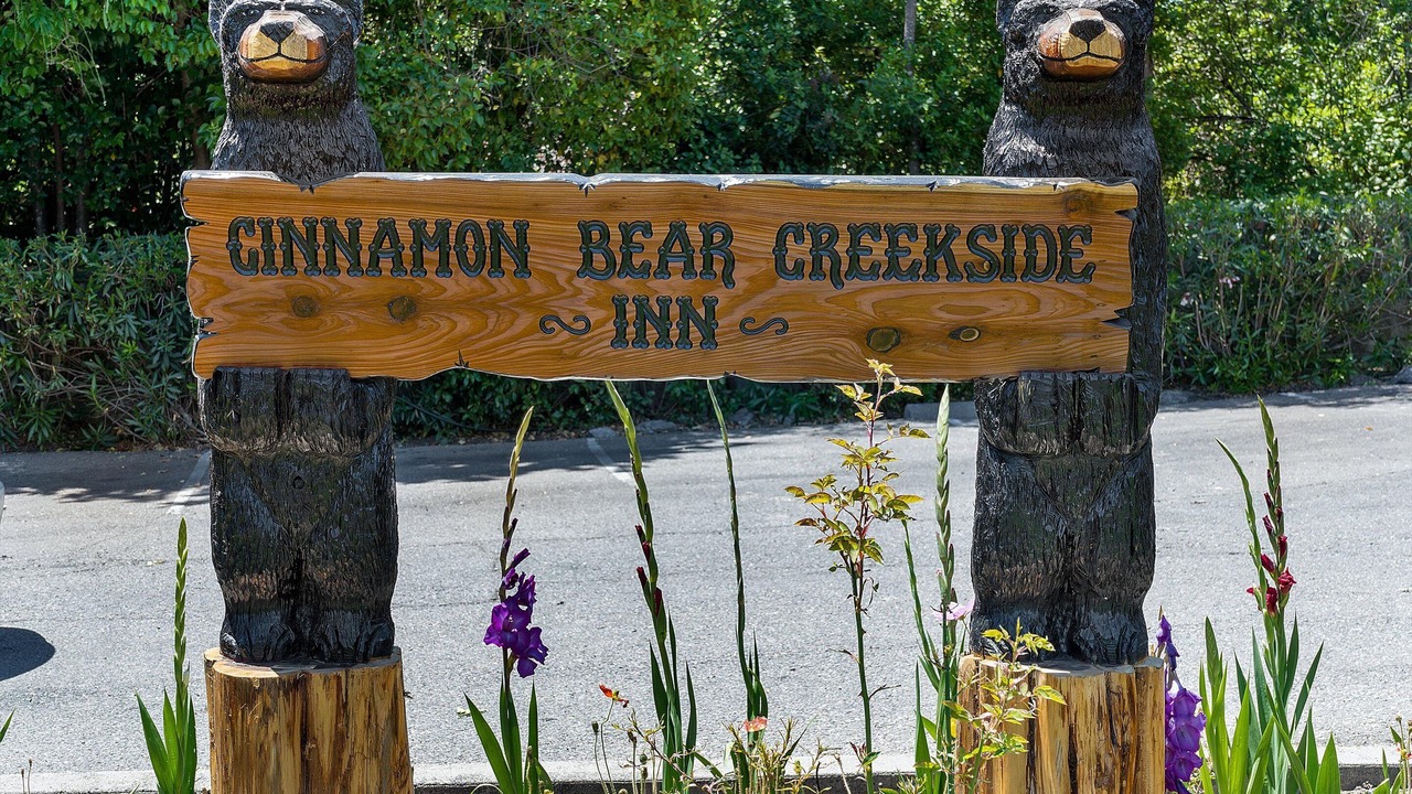 Photo of Outdoor in Sonoma