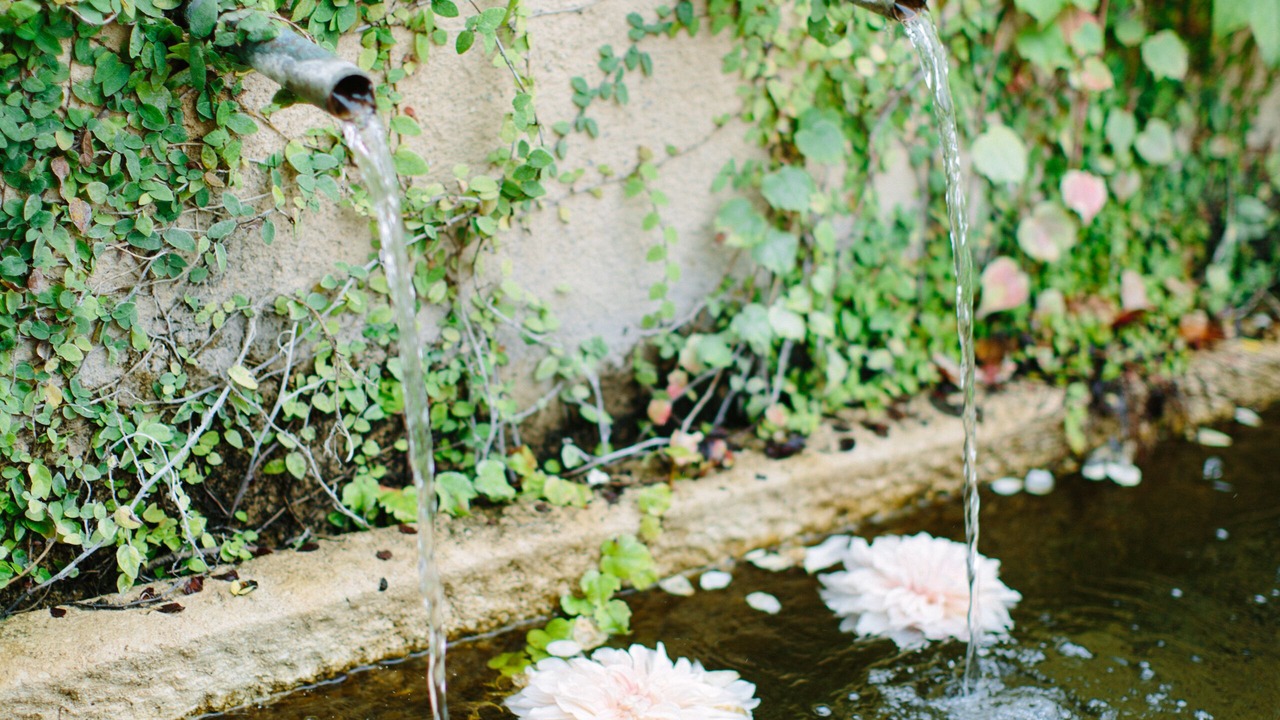 Photo of Outdoor in Sonoma