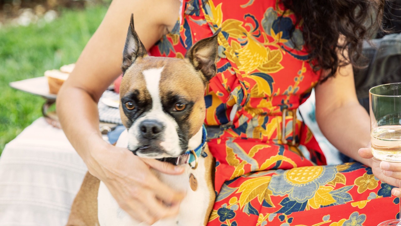 Photo of Patio Balcony in Napa