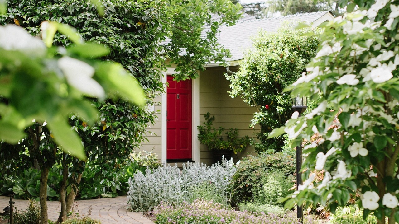 Photo of Outdoor in Napa