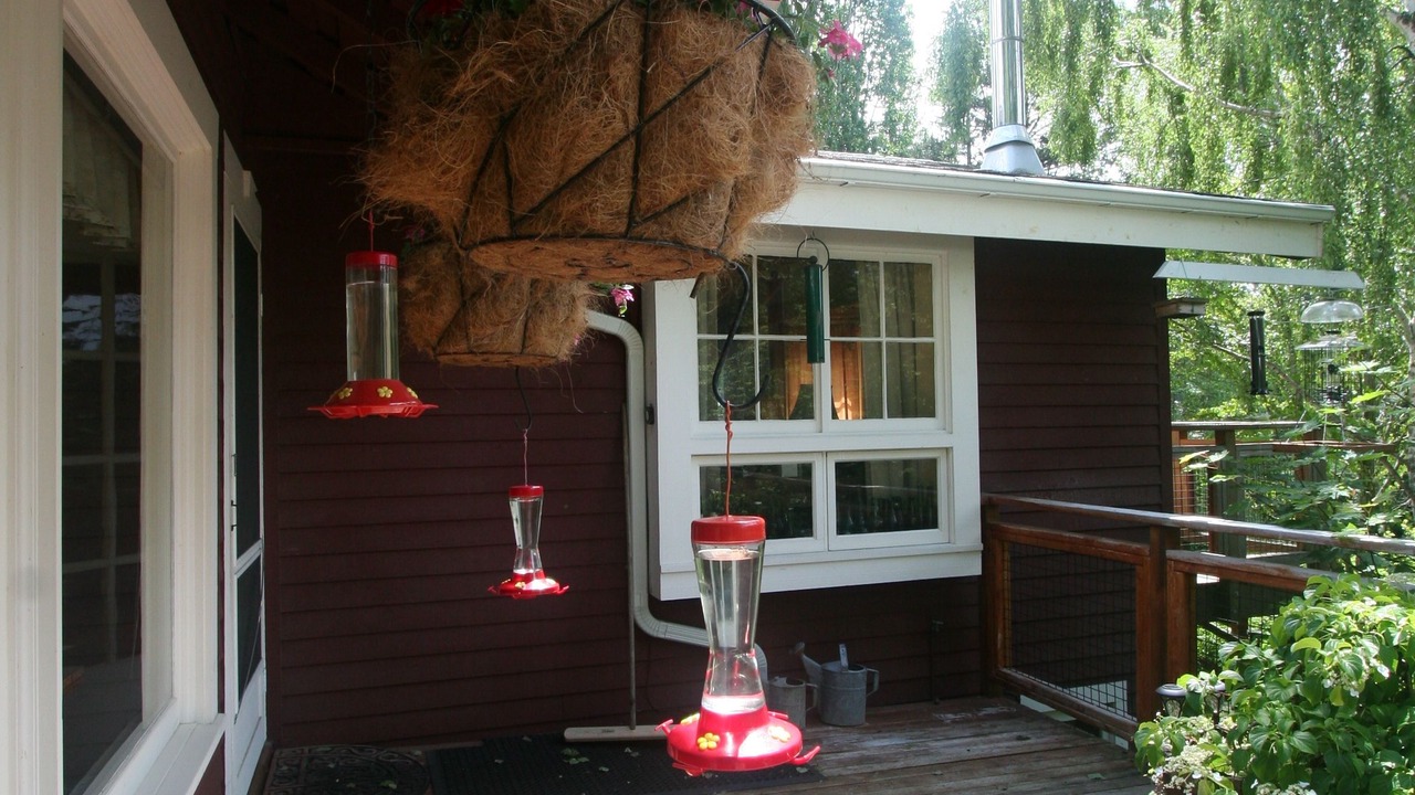 Photo of Outdoor in Eastsound