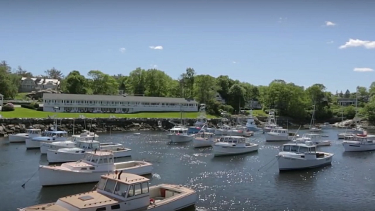 Photo of Others in Wells