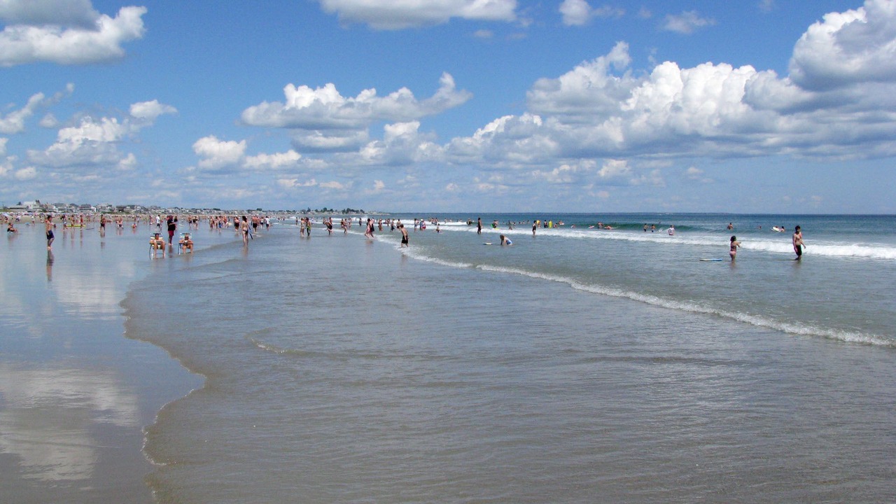 Photo of Others in Wells