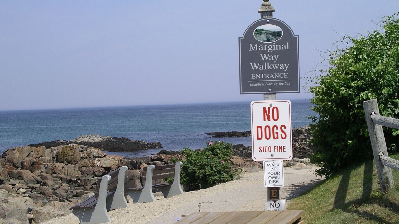 Photo of Others in Wells