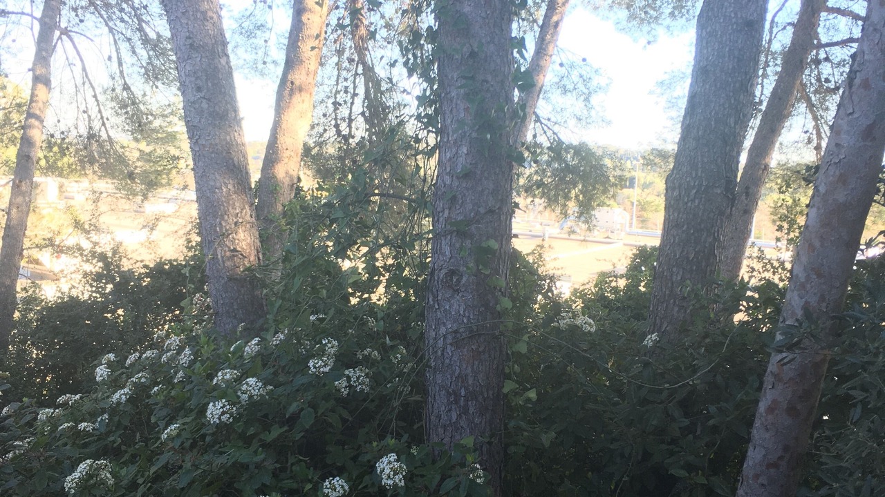 Photo of Outdoor in Saint-Clement-de-Riviere