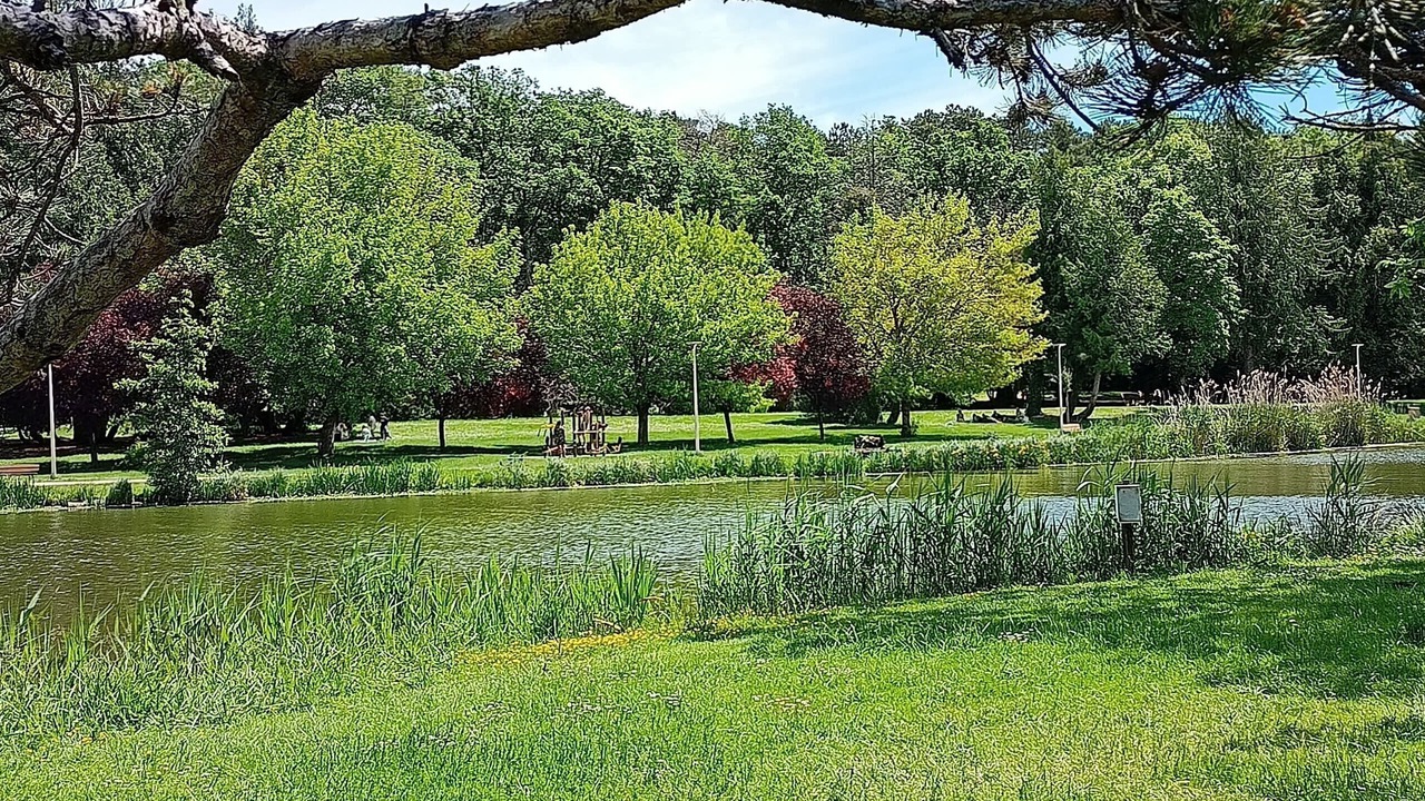 Photo of Outdoor in Joue-les-Tours