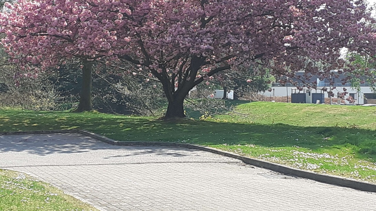 Photo of Outdoor in Mont-Saint-Aignan