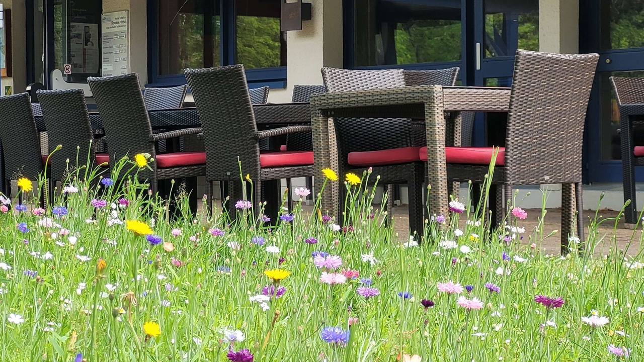 Photo of Outdoor in Mont-Saint-Aignan