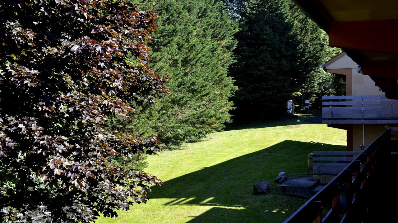 Photo of Outdoor in La Riviere-Saint-Sauveur