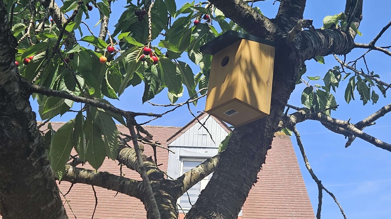 Photo of Outdoor in Saint-Arnoult