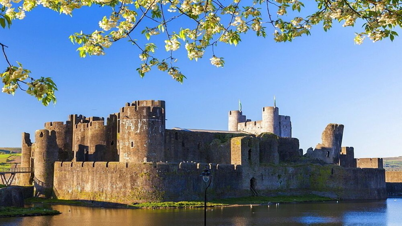 Photo of Others in Pentwyn