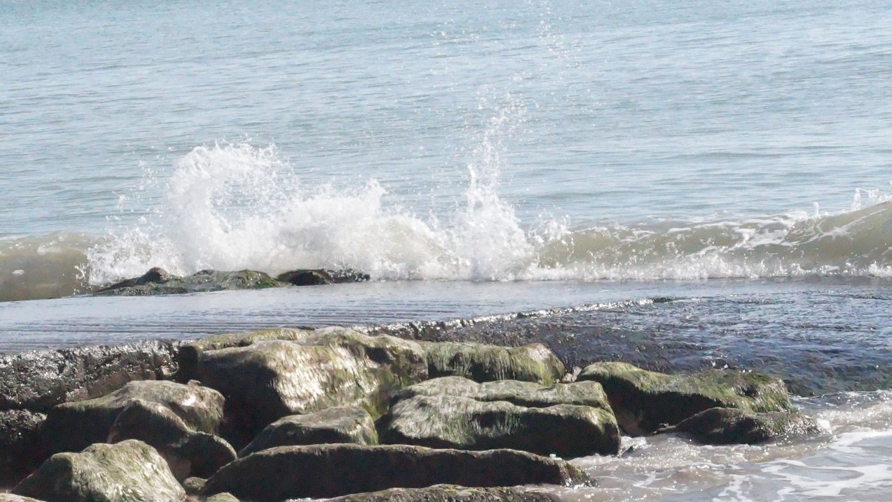 Photo of Others in La Couarde-sur-Mer