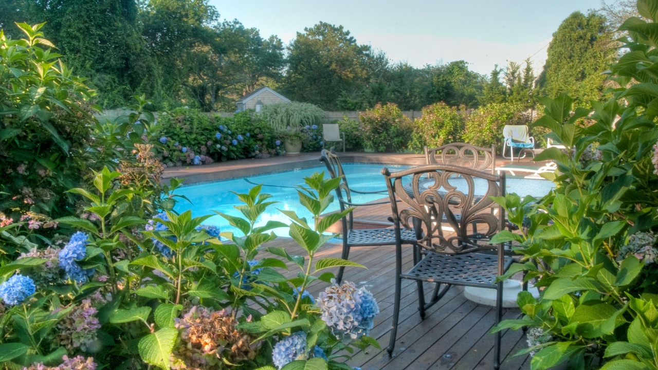 Photo of Outdoor in West Brewster