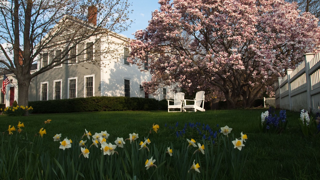 Photo of Outdoor in West Brewster