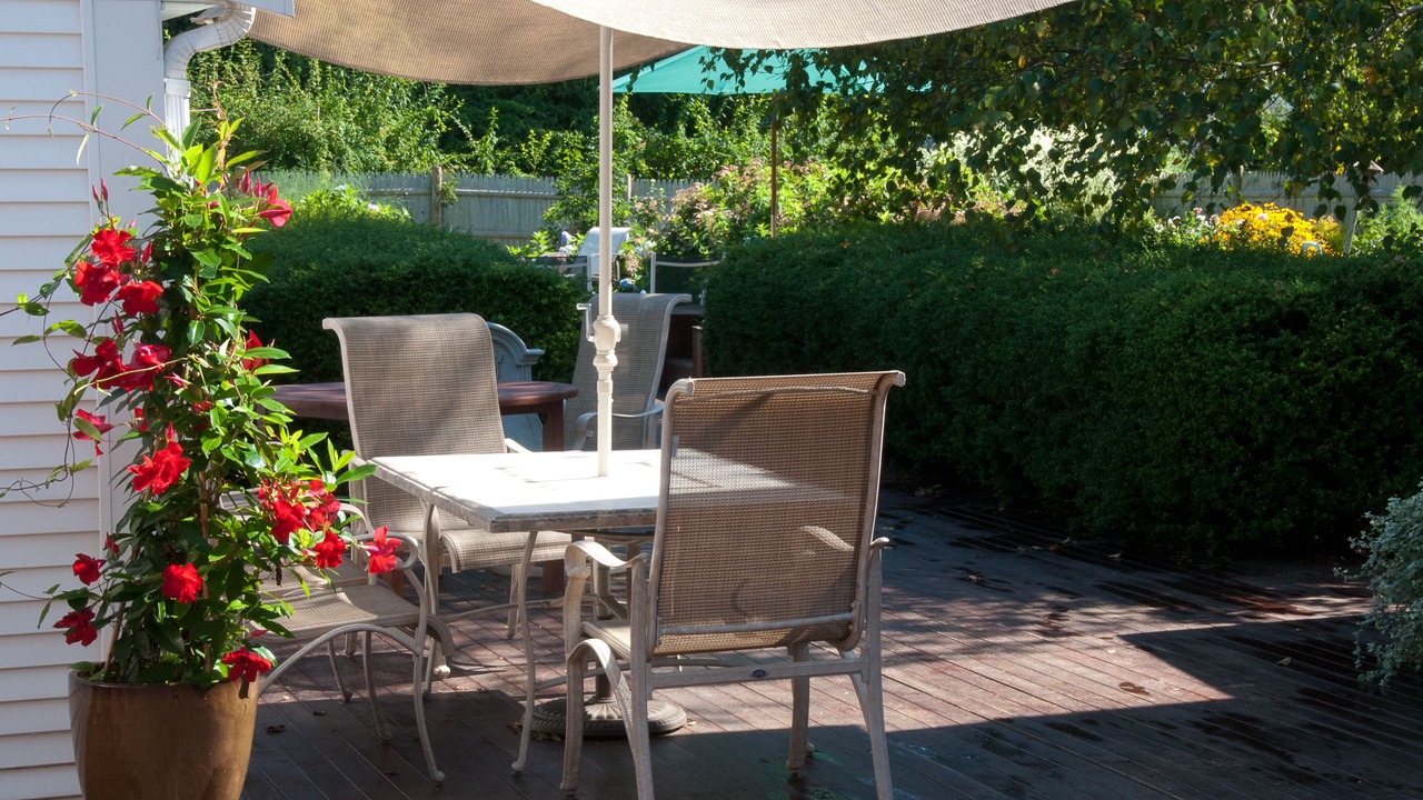 Photo of Outdoor in West Brewster