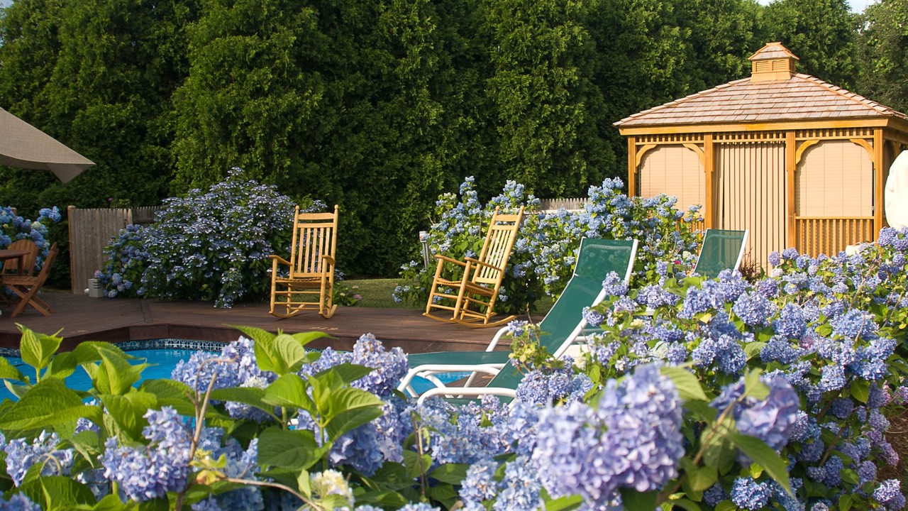 Photo of Outdoor in West Brewster