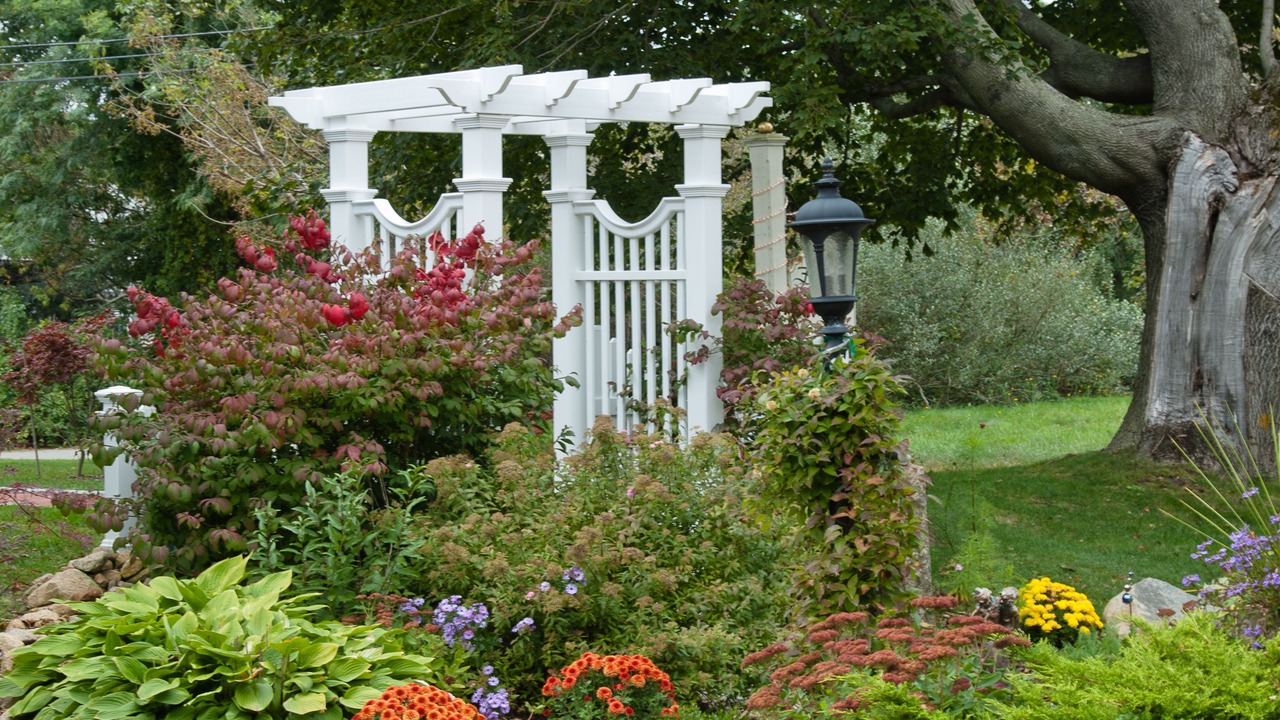 Photo of Outdoor in West Brewster