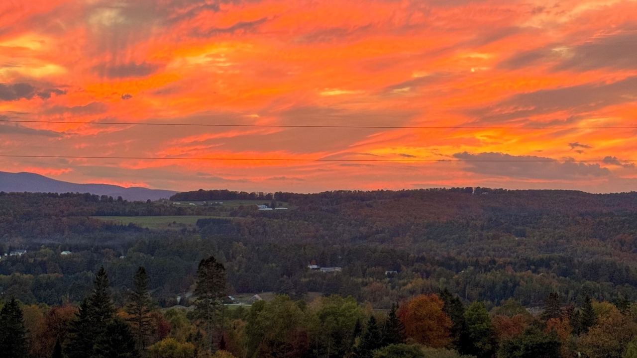 Photo of Others in Lyndon