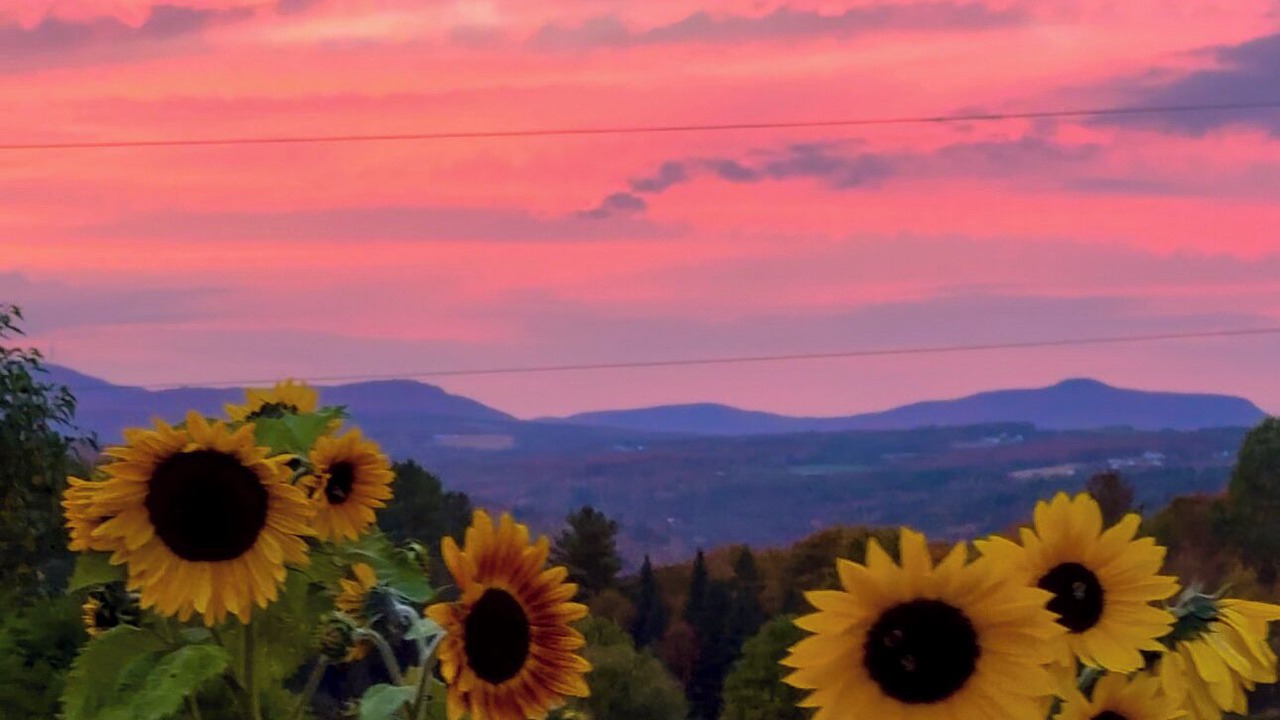 Photo of Others in Lyndon