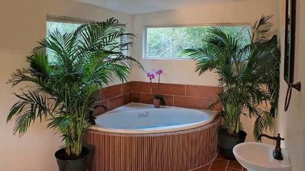 Photo of Bathroom in Cat Spring