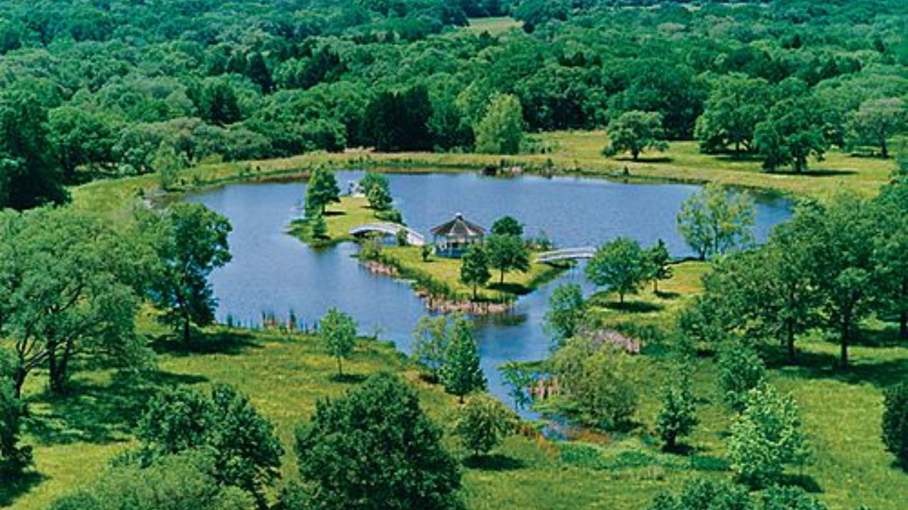 Photo of Outdoor in Cat Spring