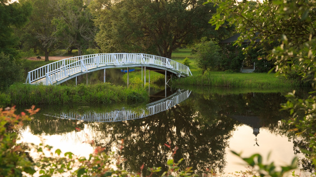 Photo of Outdoor in Cat Spring