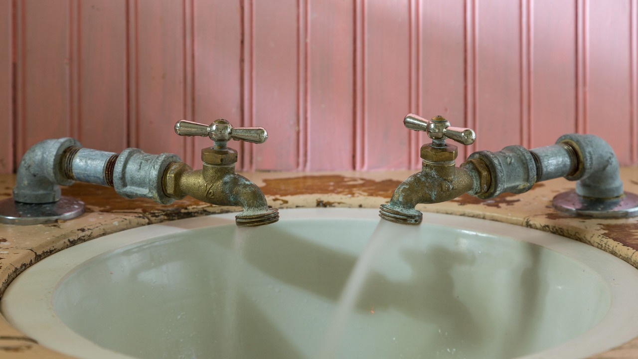 Photo of Others in Cat Spring