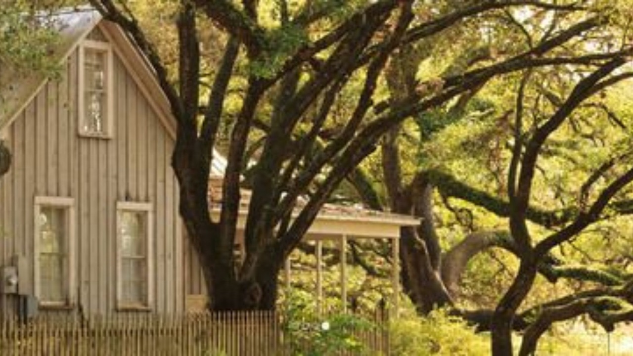 Photo of Outdoor in Cat Spring