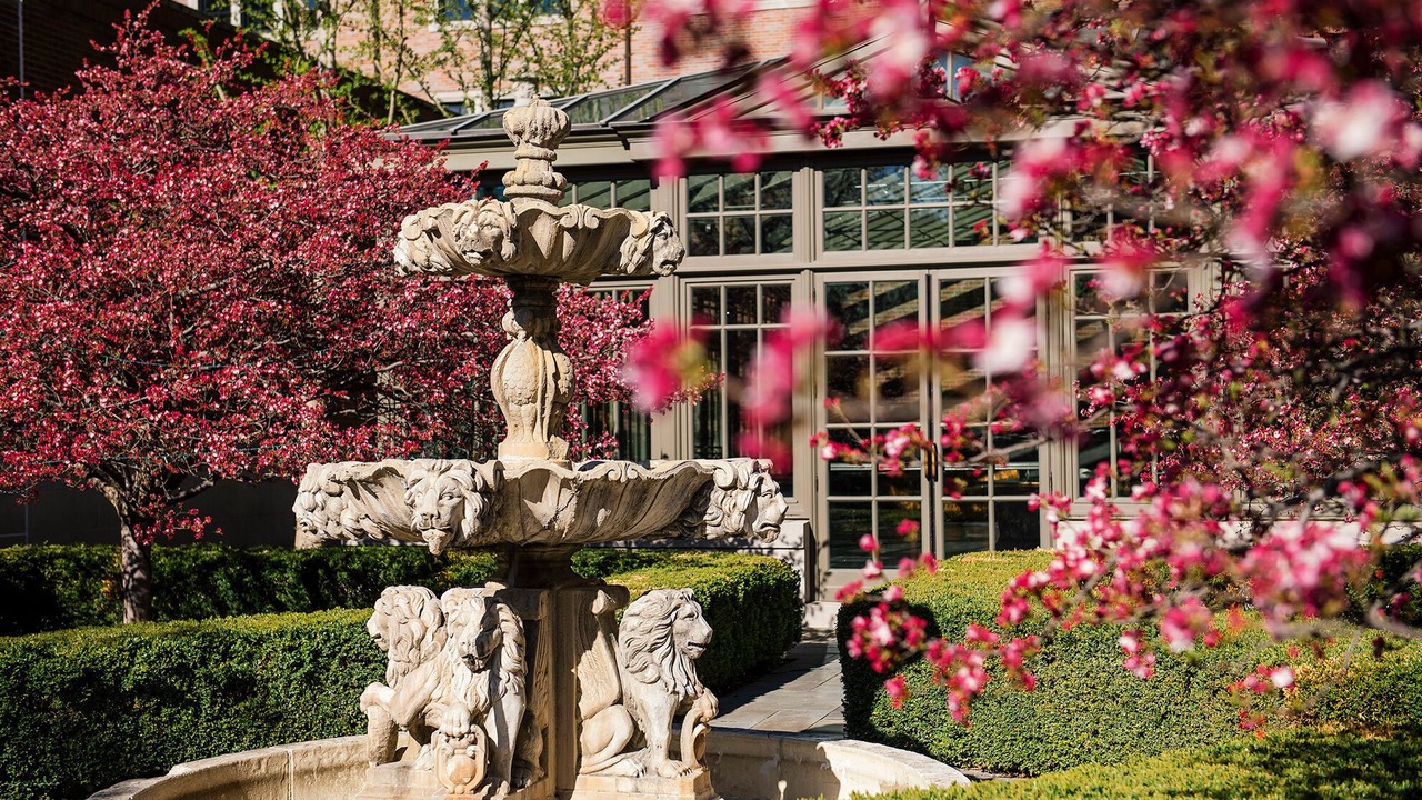 Photo of Outdoor in Rochester