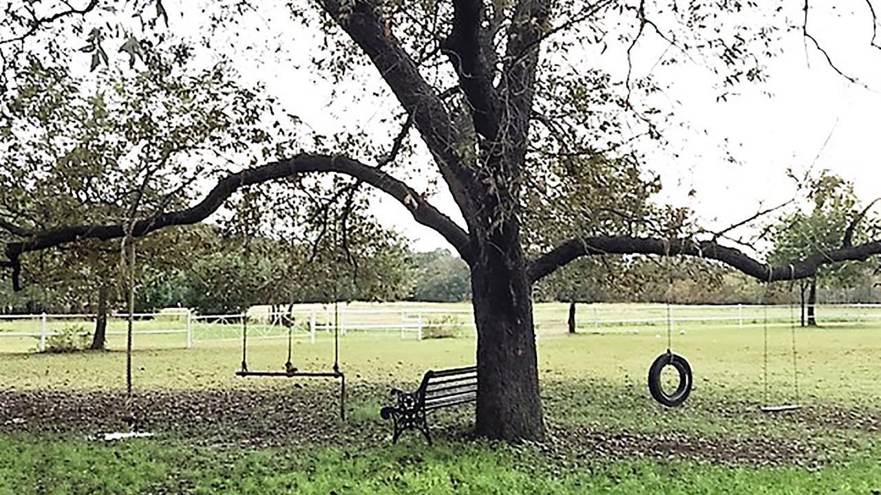 Photo of Outdoor in Glen Rose