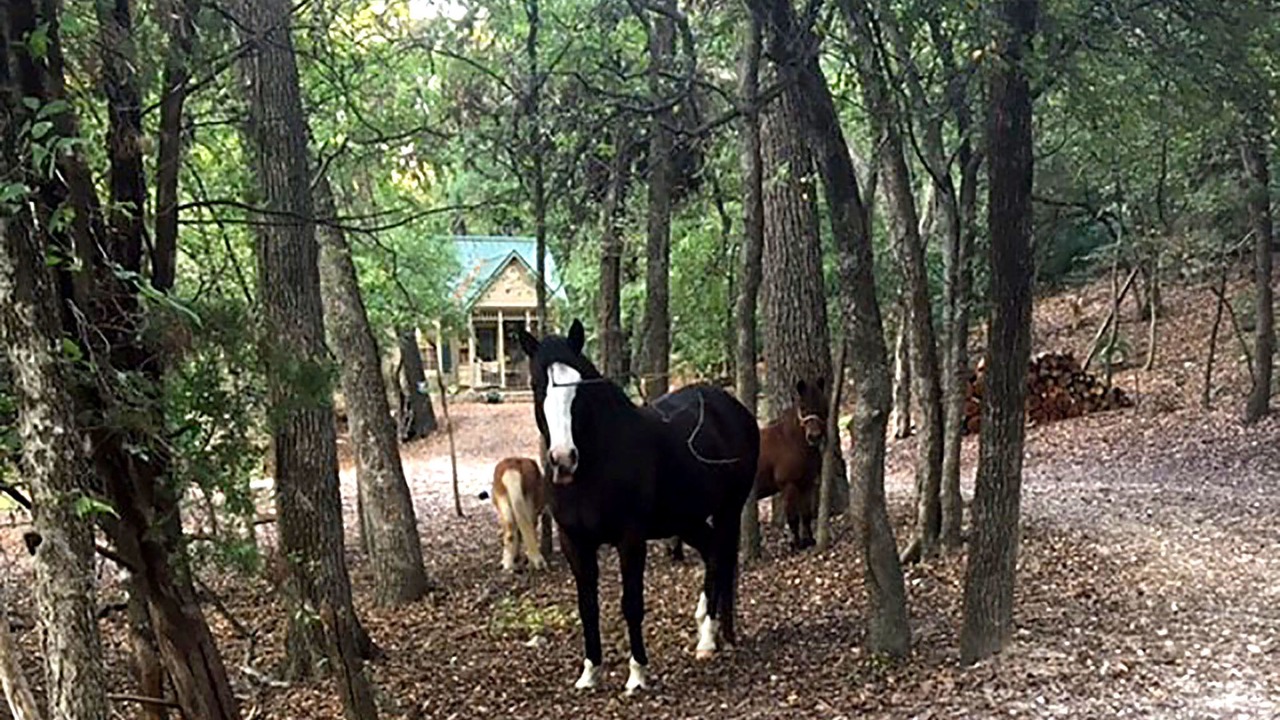 Photo of Others in Glen Rose