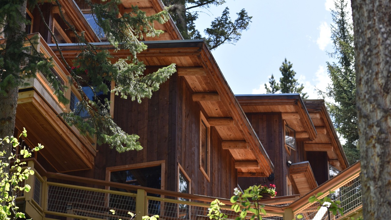 Photo of Outdoor in Wilson