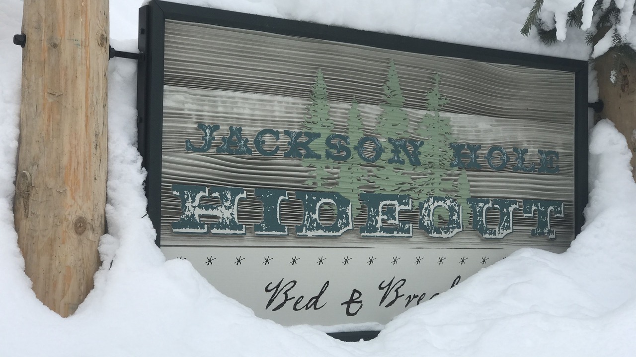 Photo of Outdoor in Wilson