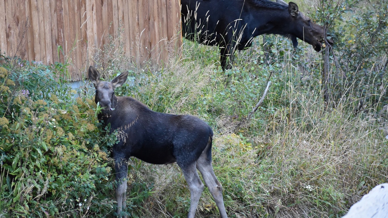Photo of Bedroom in Wilson