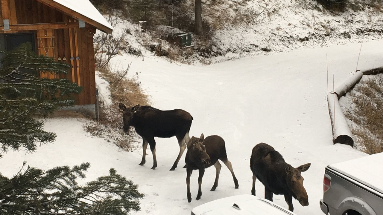 Photo of Outdoor in Wilson