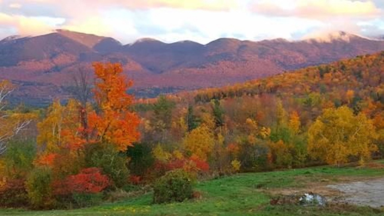 Photo of Others in Sugar Hill