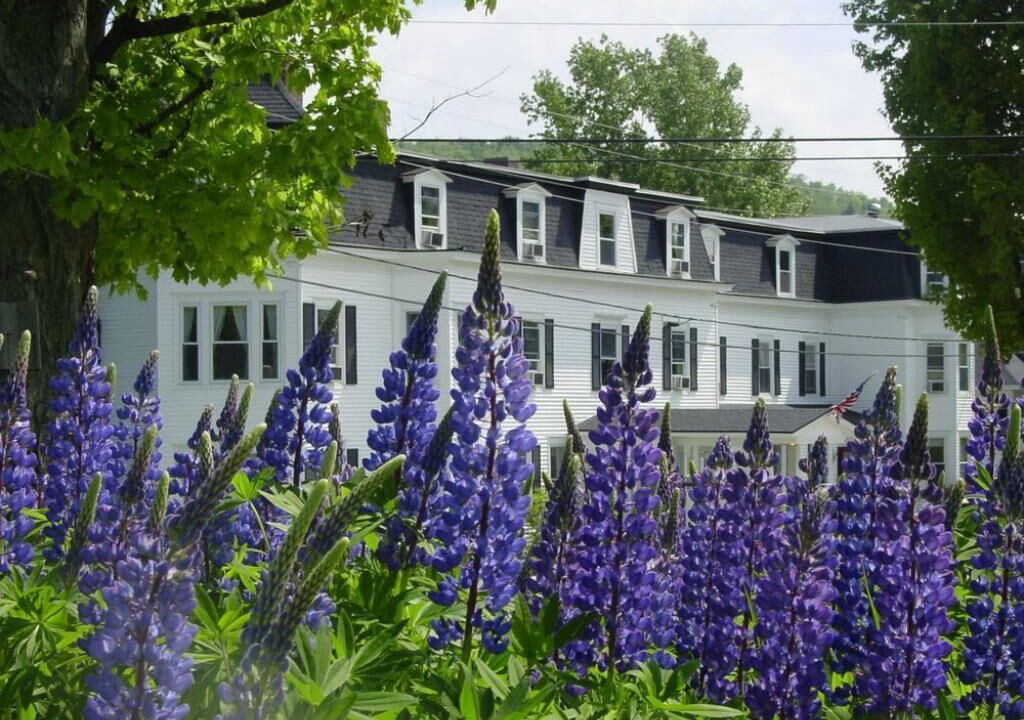 Photo of Others in Sugar Hill