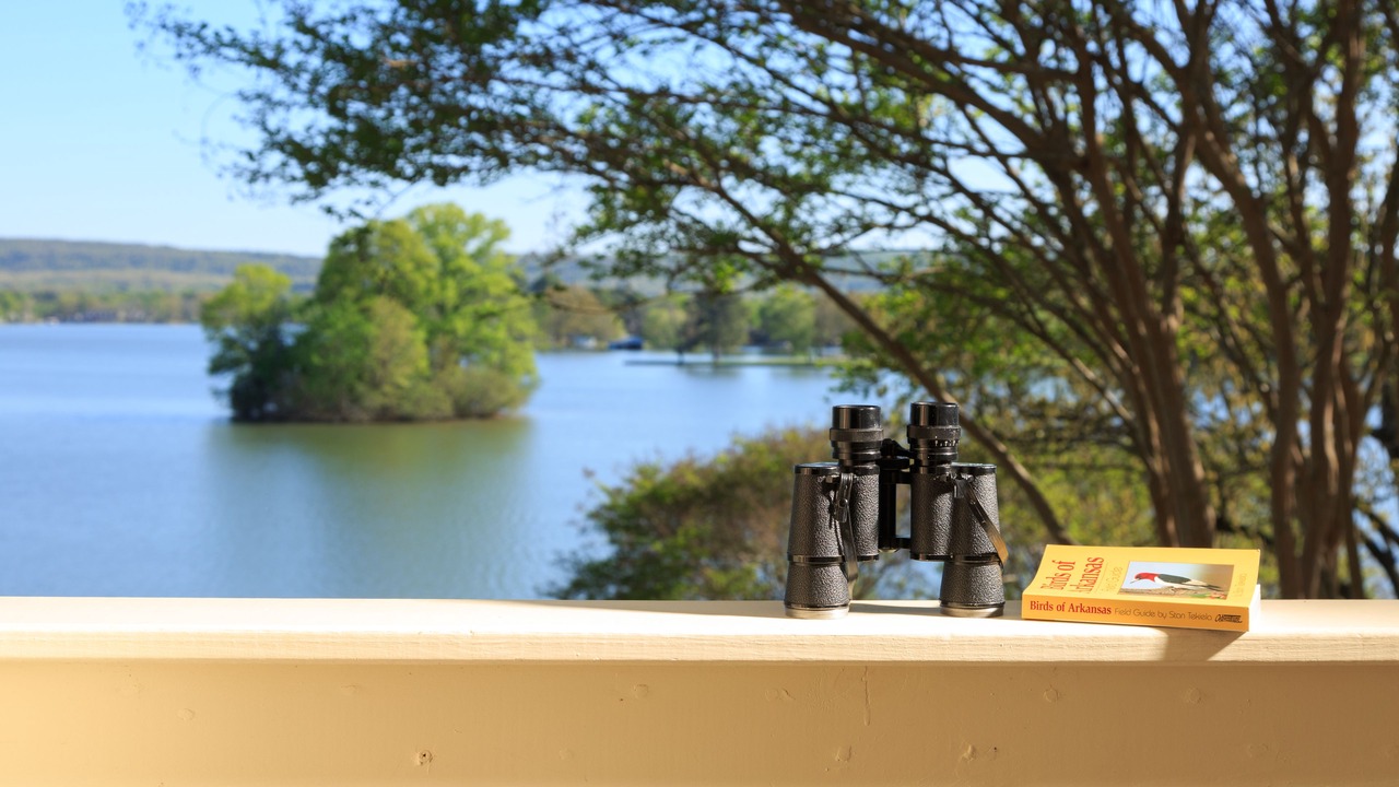Photo of Outdoor in Lake Hamilton