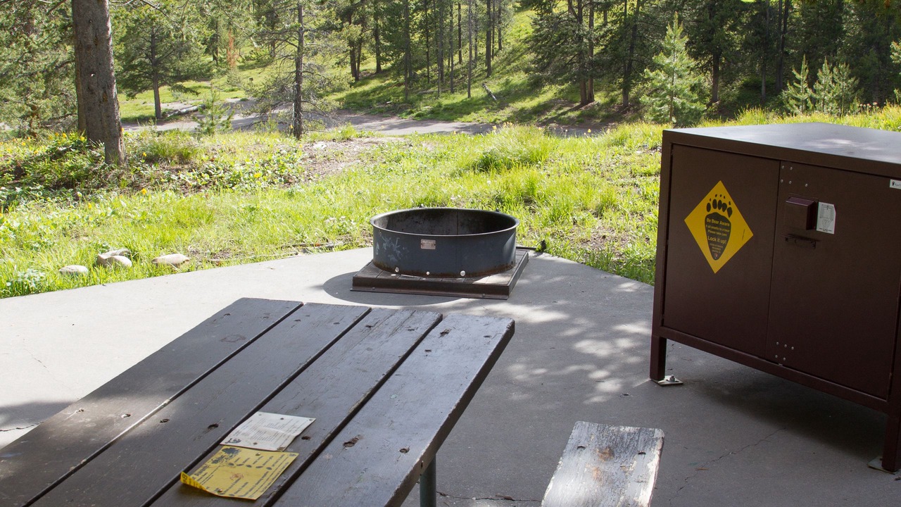 Photo of Others in Moran