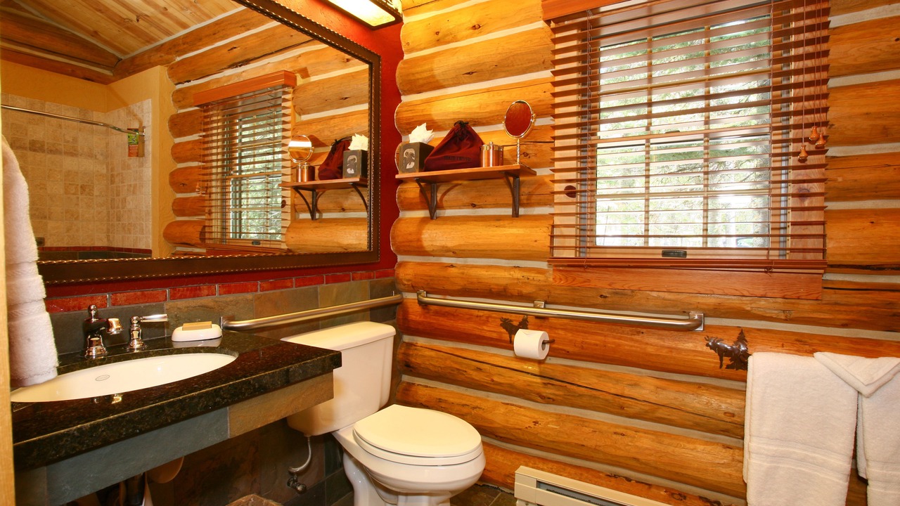 Photo of Bathroom in Moose