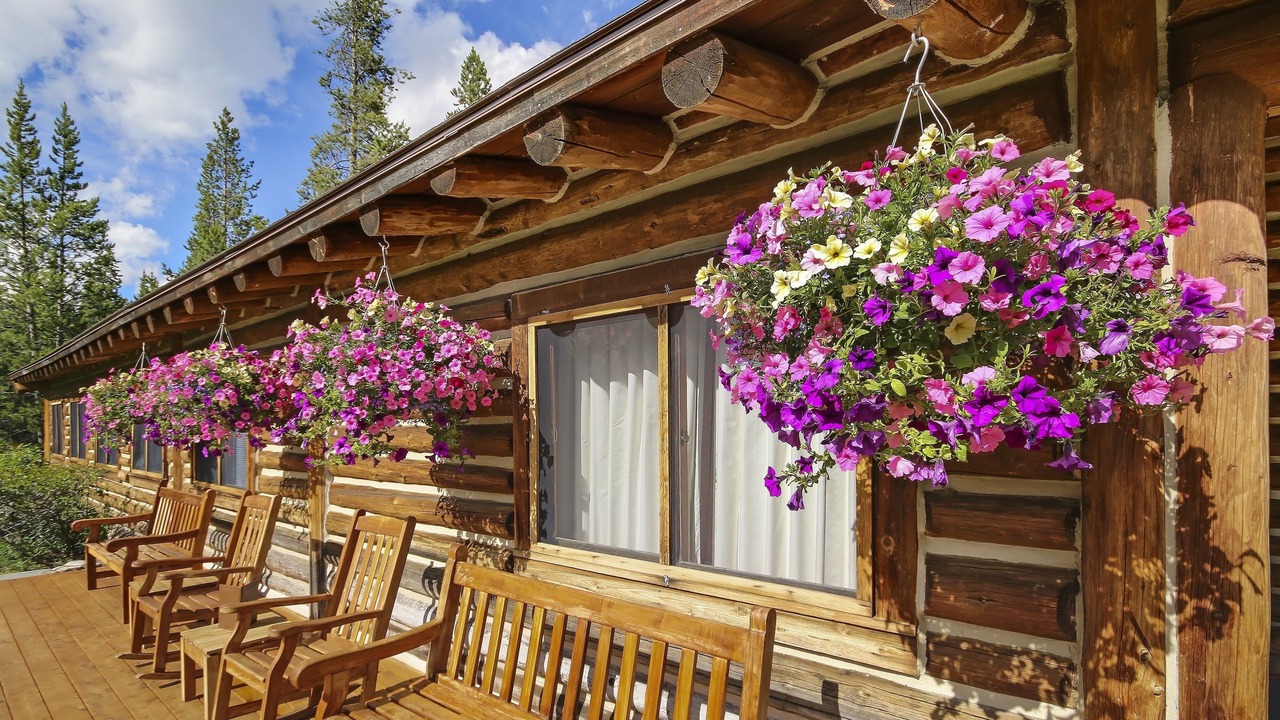 Photo of Others in Moose